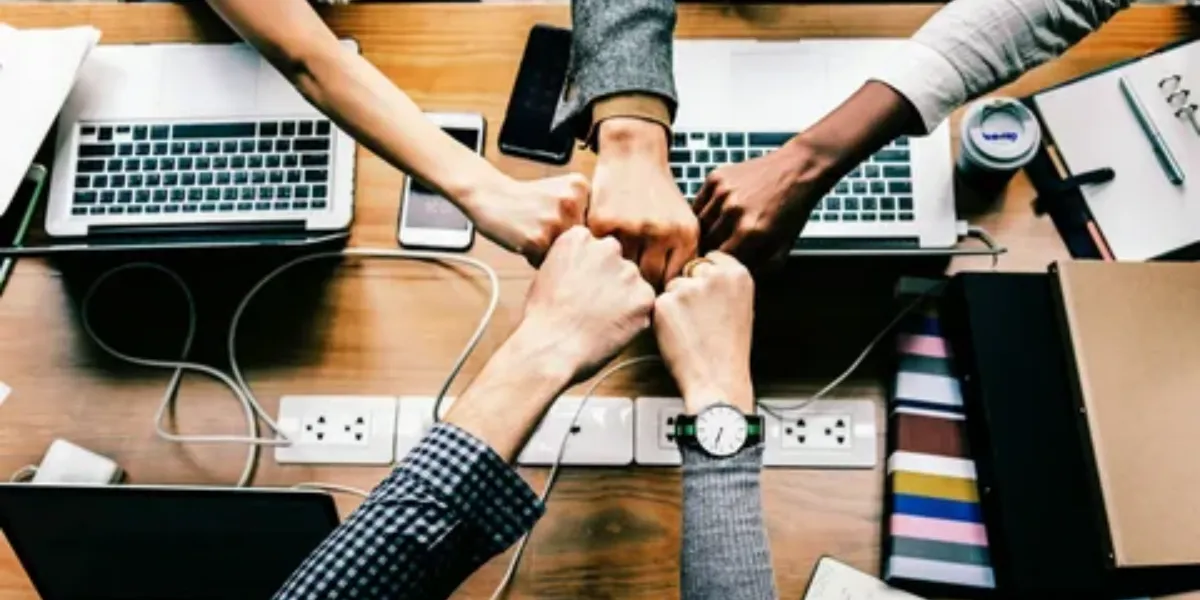  Live Industry Panel Webinars